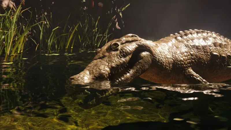 Onde encontrar couro de crocodilo em Assassin’s Creed Black Flag Resynced